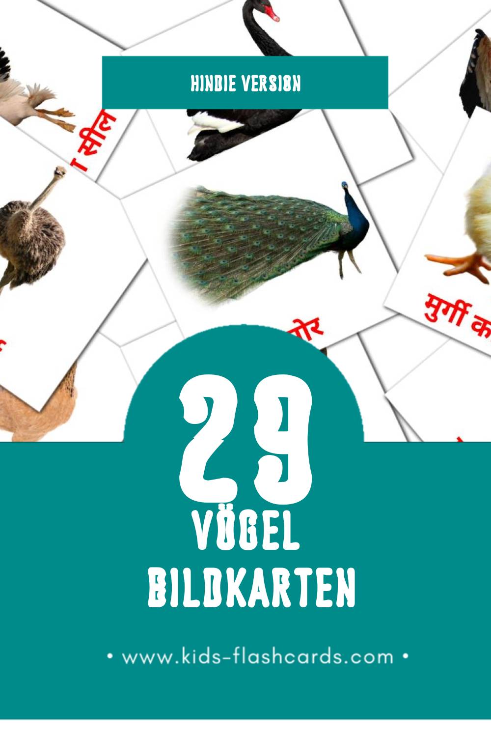 Visual पक्षी Flashcards für Kleinkinder (29 Karten in Hindi)