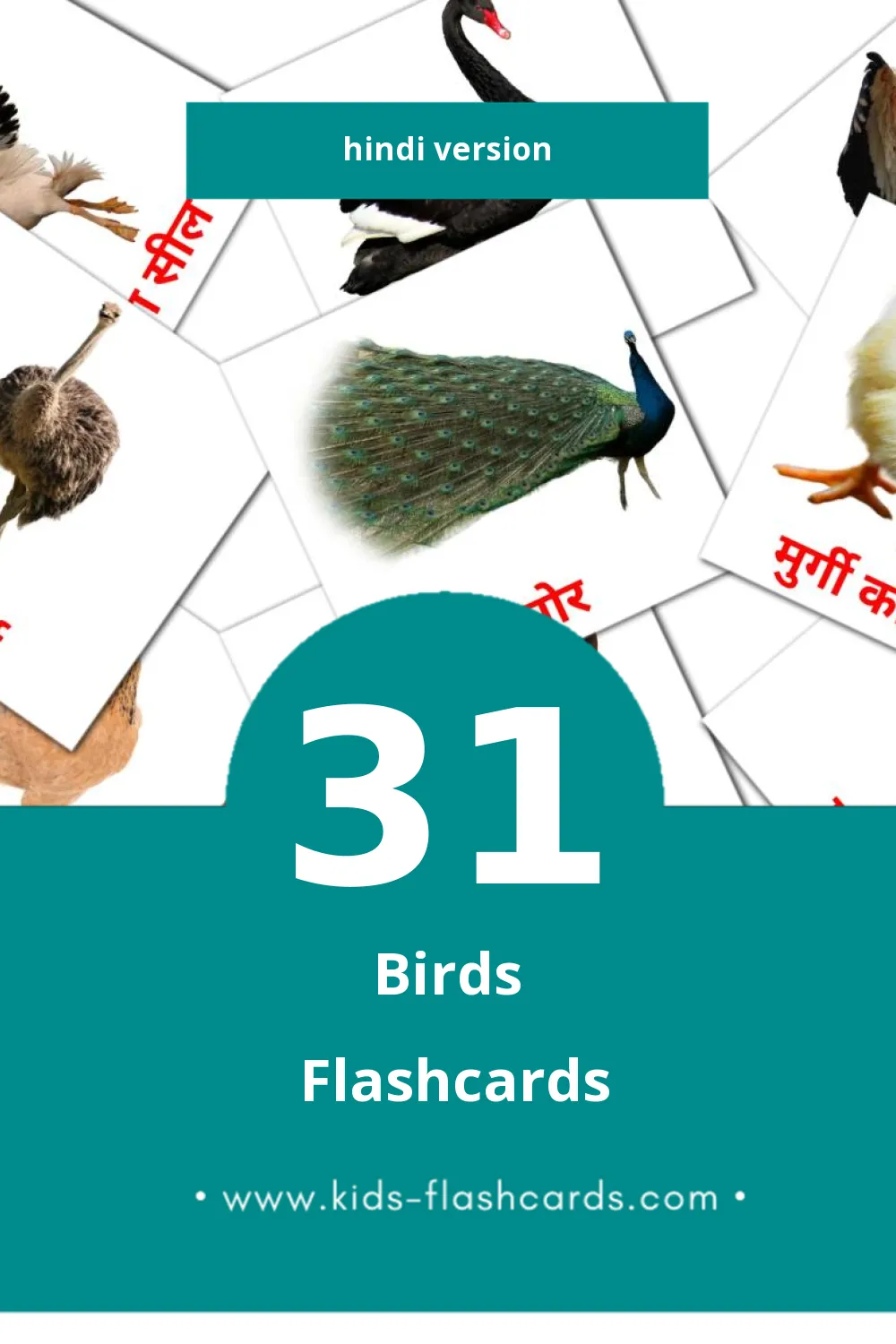 Visual पक्षी Flashcards for Toddlers (31 cards in Hindi)