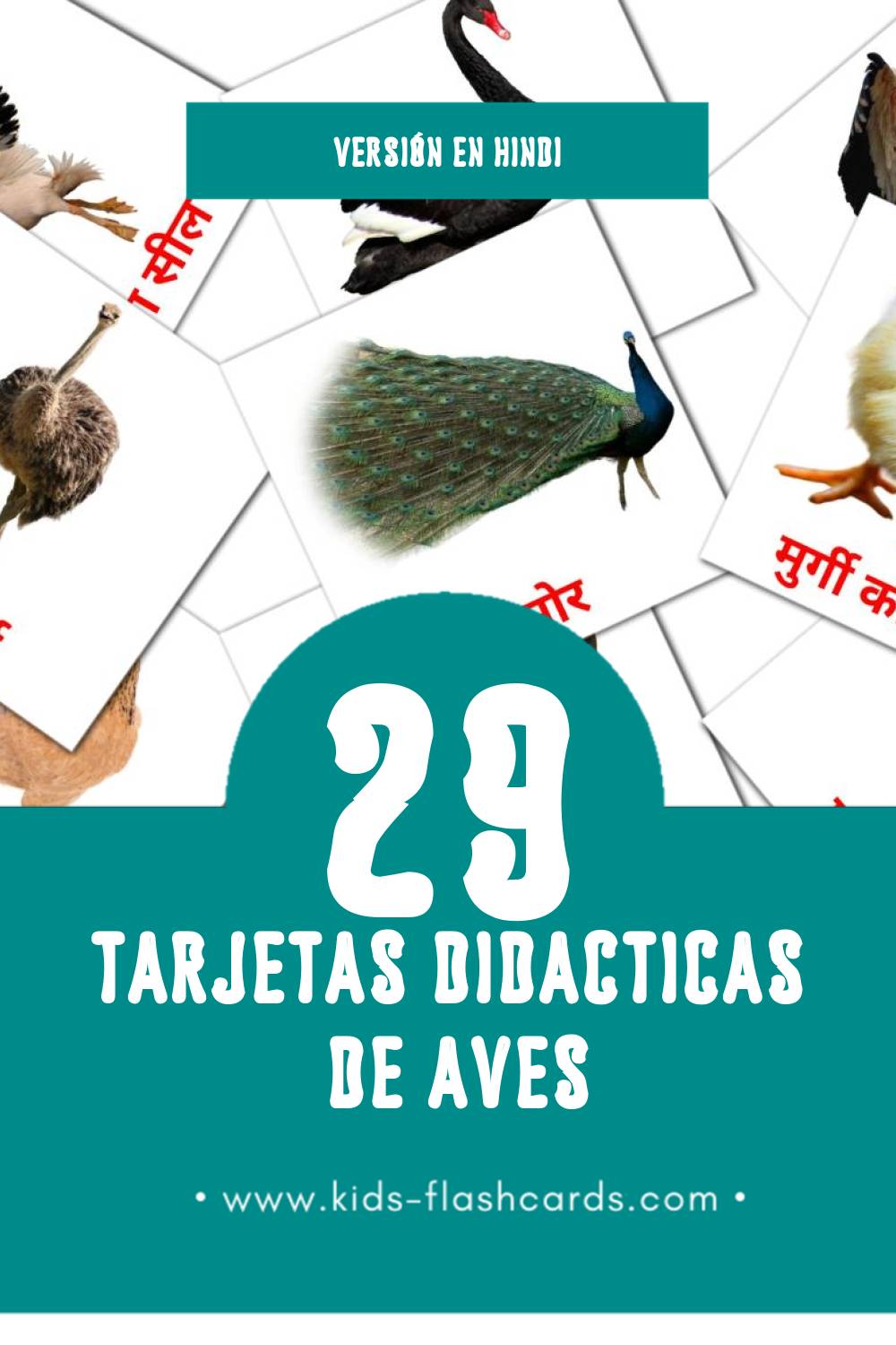 Tarjetas visuales de पक्षी para niños pequeños (29 tarjetas en Hindi)