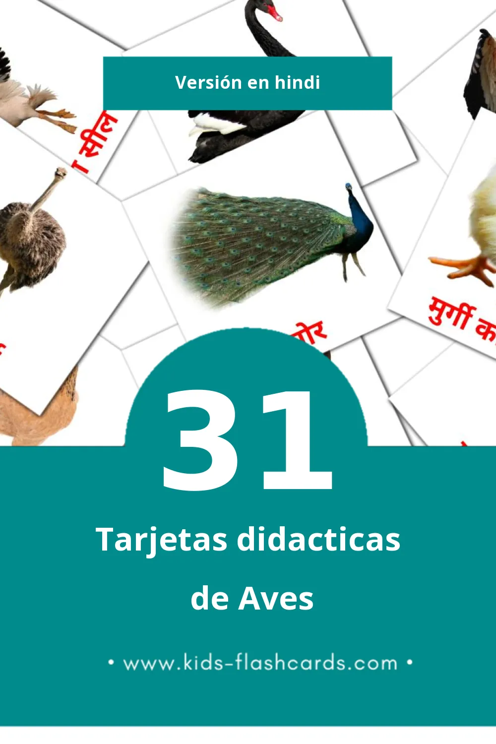 Tarjetas visuales de पक्षी para niños pequeños (31 tarjetas en Hindi)