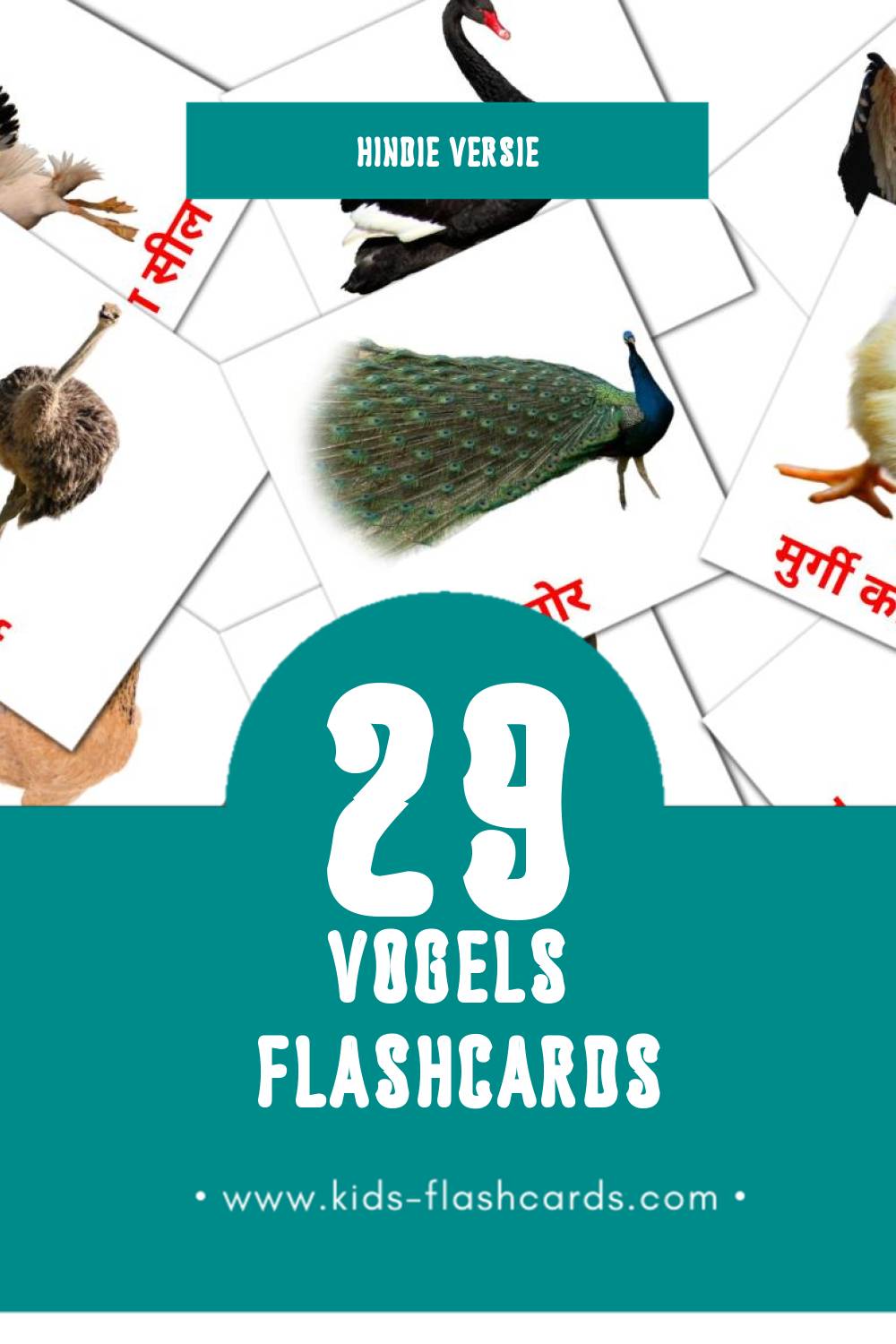 Visuele पक्षी Flashcards voor Kleuters (29 kaarten in het Hindi)
