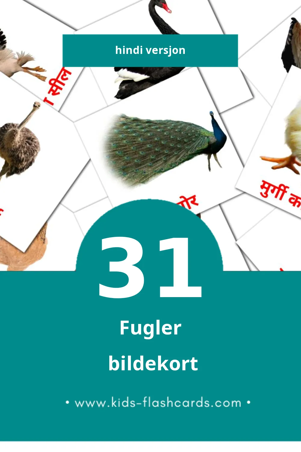 Visuelle पक्षी bildekort for småbarn (31 kort på Hindi)