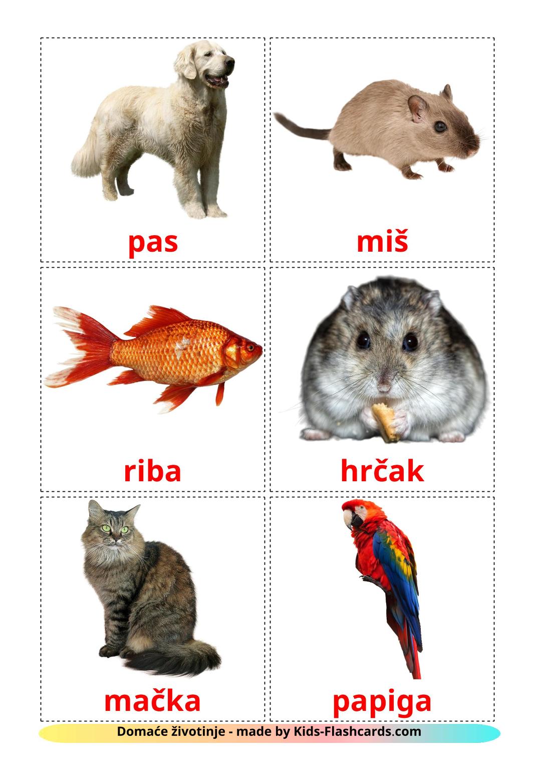 Les animaux Domestiques - 10 Flashcards croate imprimables gratuitement