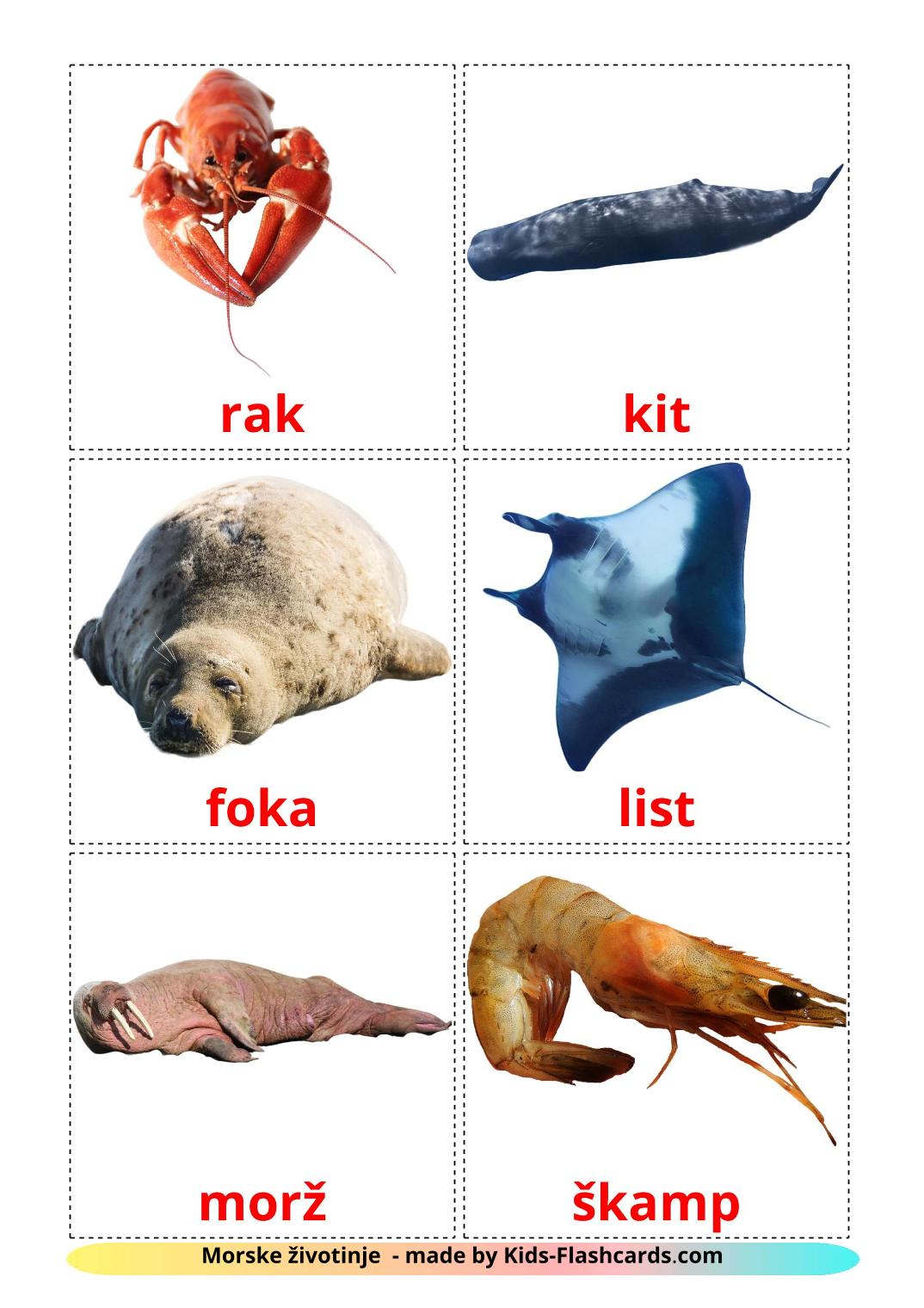 Sea animals - 29 Free Printable croatian Flashcards 