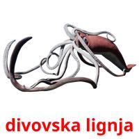 divovska lignja card for translate