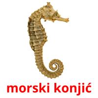 morski konjić card for translate