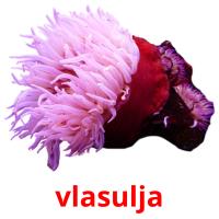 vlasulja card for translate