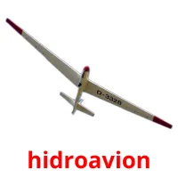 hidroavion cartes flash