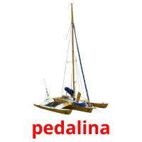 pedalina Bildkarteikarten