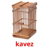 kavez picture flashcards