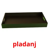 pladanj picture flashcards