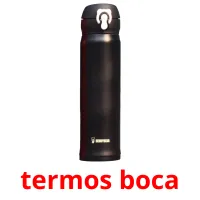 termos boca picture flashcards