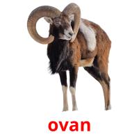 ovan picture flashcards