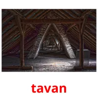 tavan picture flashcards