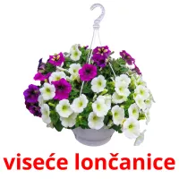 viseće lončanice ansichtkaarten