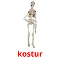 kostur picture flashcards