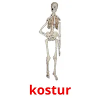 kostur Bildkarteikarten