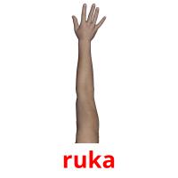 ruka picture flashcards