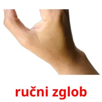 ručni zglob Bildkarteikarten