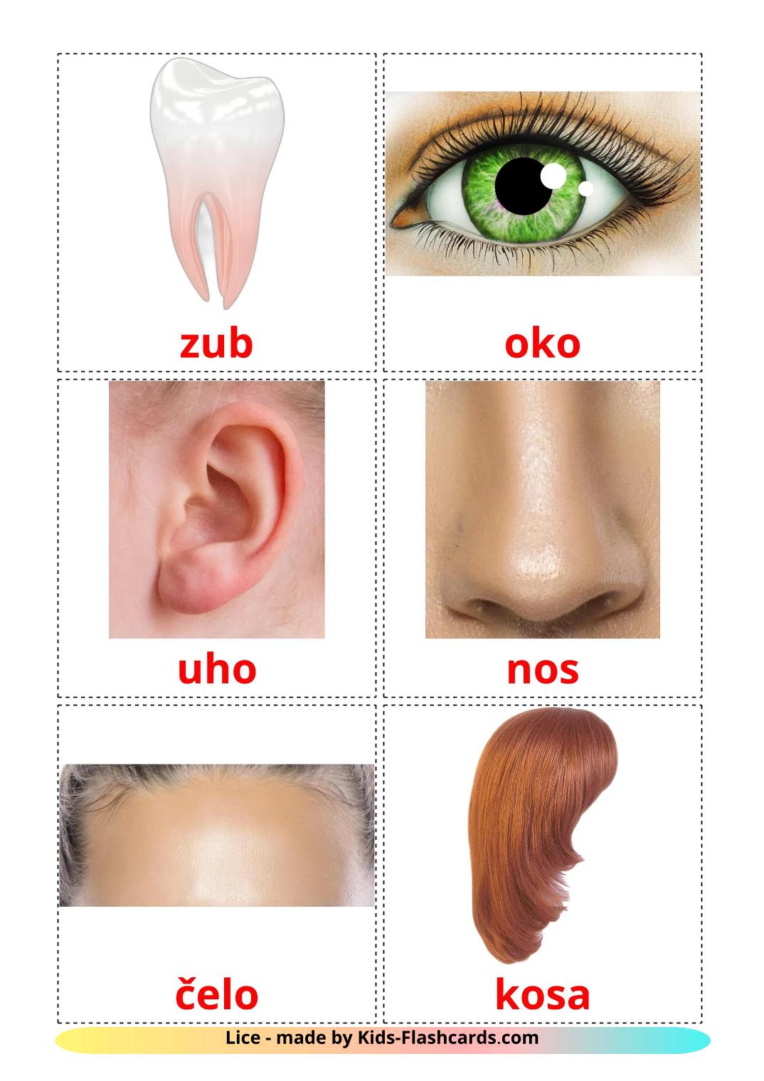 Face - 20 Free Printable croatian Flashcards 