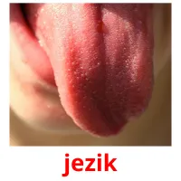 jezik picture flashcards