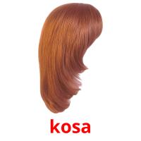 kosa picture flashcards