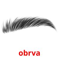 obrva picture flashcards