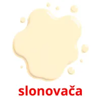 slonovača cartes flash