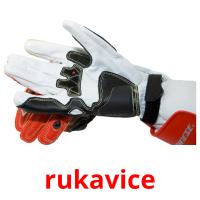 rukavice picture flashcards
