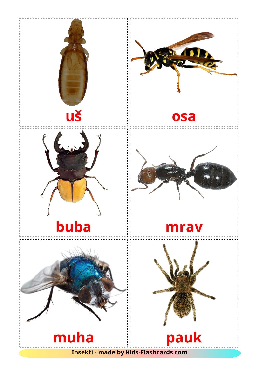 Insects - 23 Free Printable croatian Flashcards 