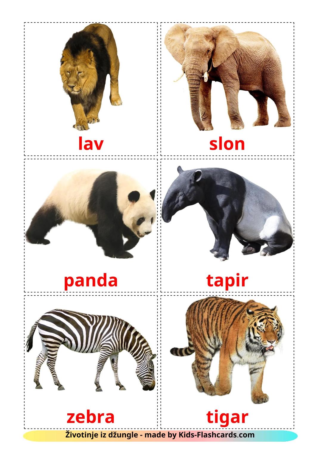 Jungle animals - 22 Free Printable croatian Flashcards 