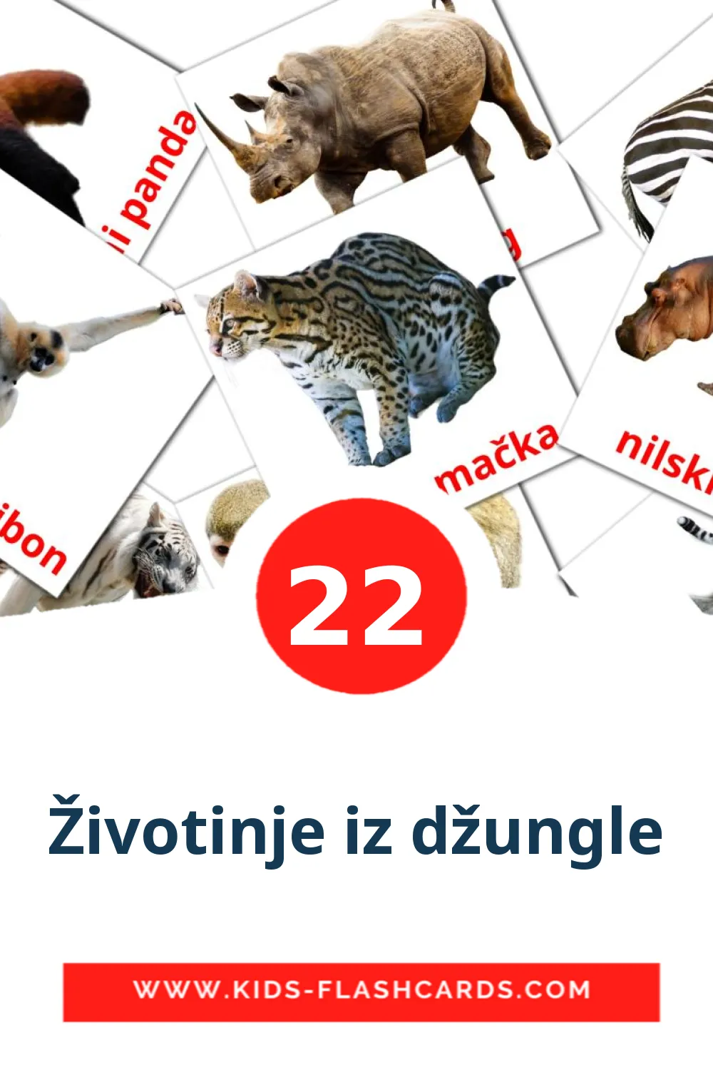 22 Životinje iz džungle Picture Cards for Kindergarden in croatian