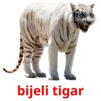 bijeli tigar card for translate