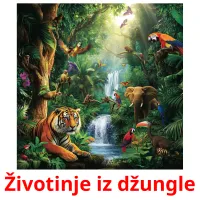 Životinje iz džungle picture flashcards