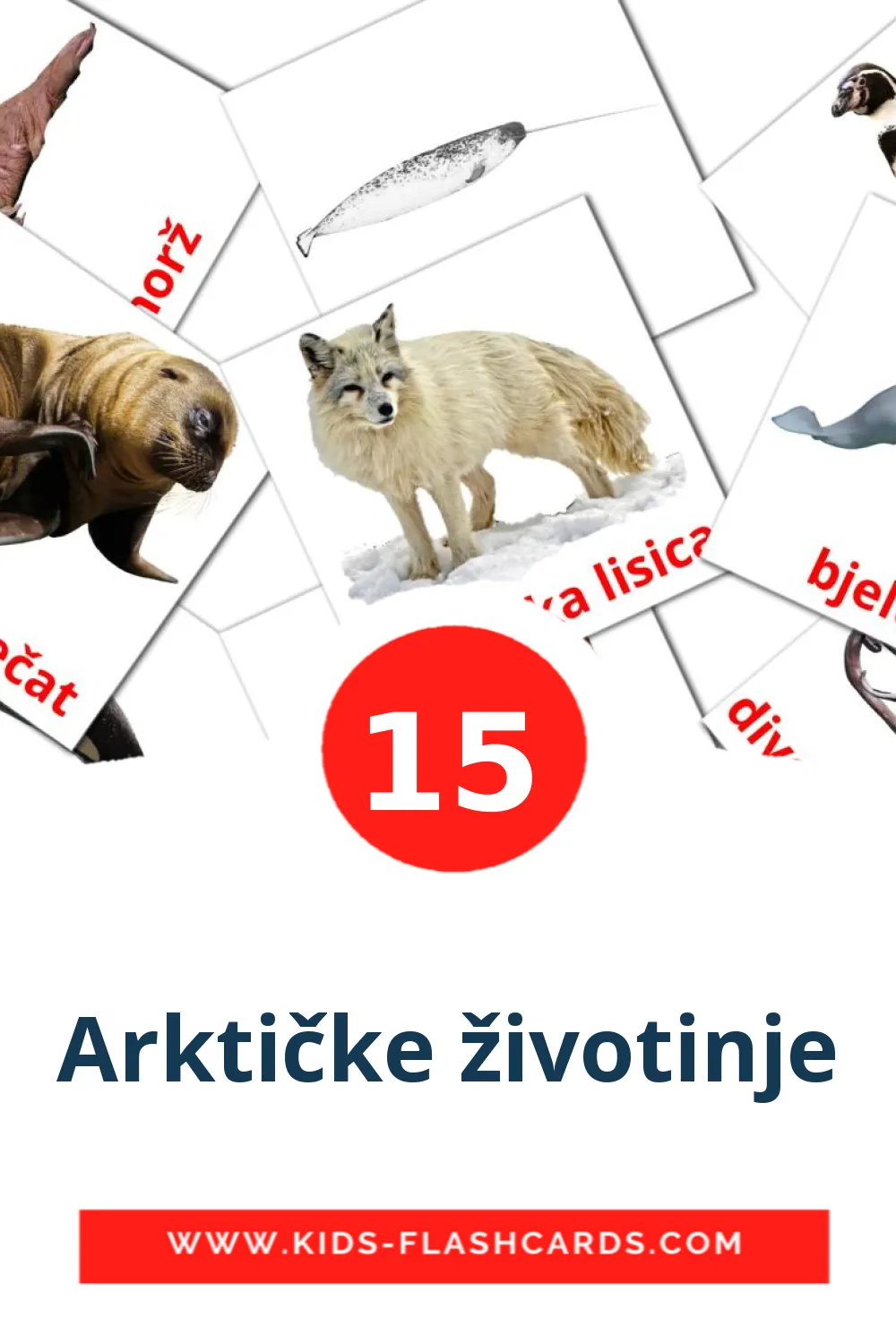 15 cartes illustrées de Arktičke životinje pour la maternelle en croate