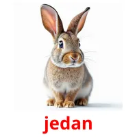 jedan picture flashcards