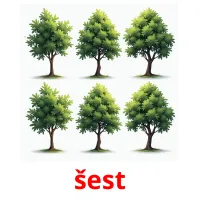 šest picture flashcards