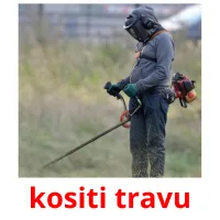 kositi travu Bildkarteikarten