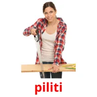 piliti Bildkarteikarten