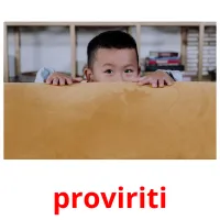 proviriti Bildkarteikarten