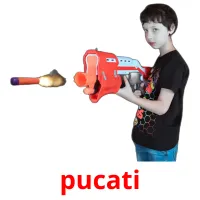 pucati Bildkarteikarten