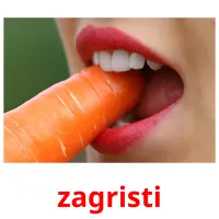 zagristi Bildkarteikarten