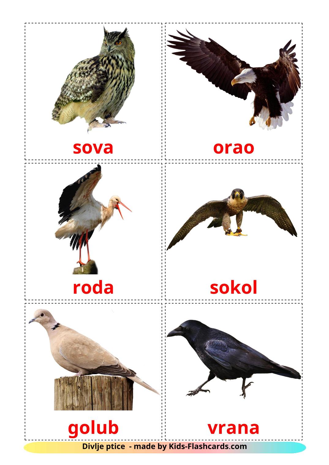 Wild birds - 18 Free Printable croatian Flashcards 