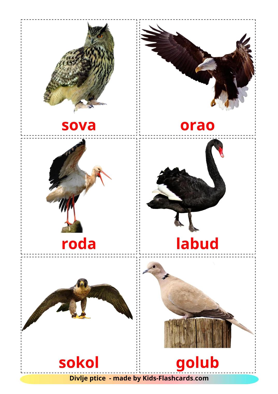 Pájaros salvajes - 19 fichas de croata para imprimir gratis 