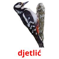 djetlić card for translate