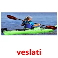 veslati flashcards illustrate