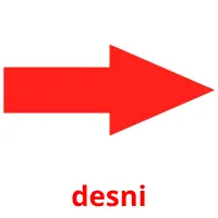 desni picture flashcards