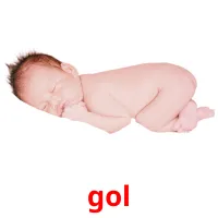 gol picture flashcards