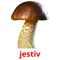 jestiv picture flashcards