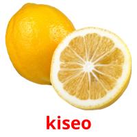 kiseo picture flashcards